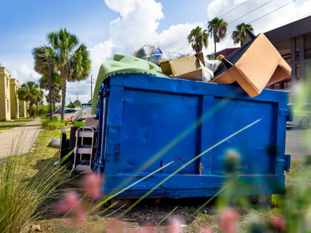 Best Electronics Removal Services  in Lovington, IL
